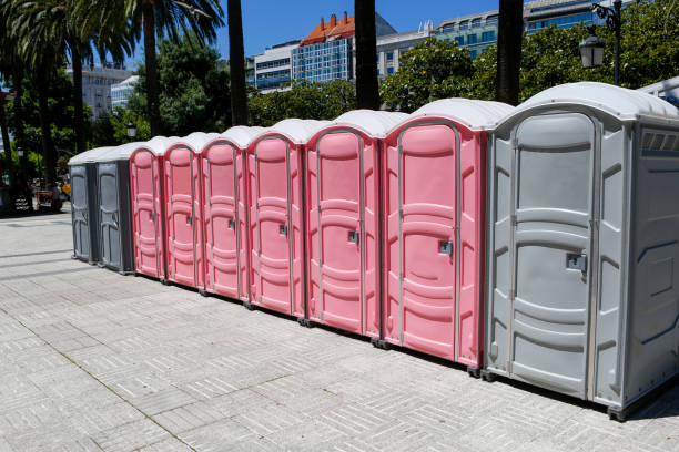 Best Portable Toilets with Baby Changing Stations  in Levelland, TX